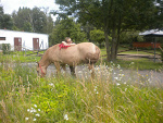 Fotoblog rybele