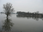 Fotoblog xfioletowesnyx