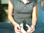 Fotoblog ohwowlovely19