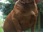 Fotoblog martabisrta