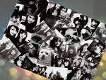 Fotoblog letsdietogether
