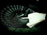 Fotoblog pluummmm