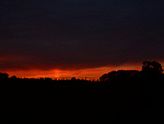 Fotoblog blackgreenrox