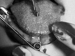Fotoblog negativelight
