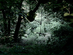 Fotoblog imaginaryworlds