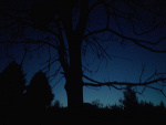 Fotoblog matisiarz
