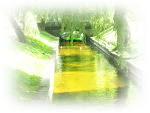 Fotoblog neddie