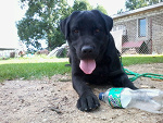 Fotoblog paulonss