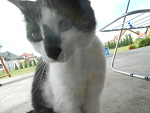 Fotoblog wiktoriagulasz1