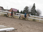 Fotoblog koniary52