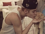 Fotoblog justinismyidol