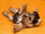 Fotoblog emila12123