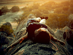 Fotoblog enchantss