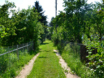Fotoblog korpaal