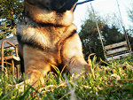 Fotoblog karolcia997