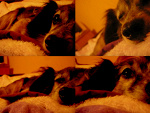 Fotoblog karolciaa23