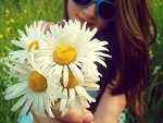 Fotoblog soetheid