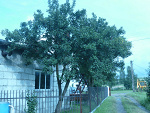 Fotoblog ziomalek1436