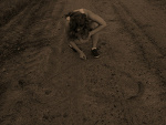 Fotoblog firstxtear