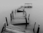 Fotoblog takahashiki