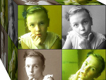 Fotoblog zyrafka01521