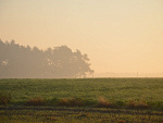 Fotoblog misiu10052