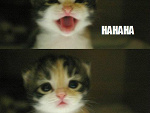 Fotoblog troloolol