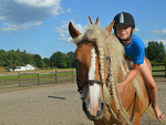 Fotoblog horselife3