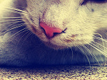Fotoblog yymoment