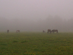 Fotoblog katl27