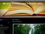 Fotoblog goodlifeincolor
