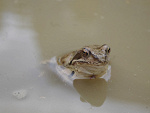 Fotoblog aguuuul