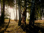 Fotoblog msemq