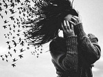 Fotoblog pandax399