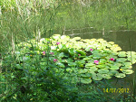 Fotoblog marta0409