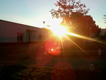 sunsunsun.