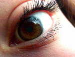 Fotoblog adutka