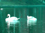Fotoblog traspy