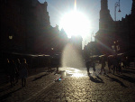 Fotoblog spadajnadrzewo