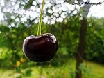 Fotoblog ewelajn6
