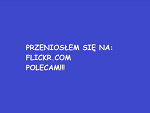 Fotoblog piterman94