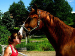 Fotoblog edzia987653