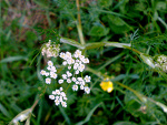 Fotoblog judyt2