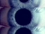 Fotoblog thestoory
