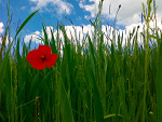 Fotoblog ineedyourlove94
