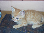 Fotoblog roxanne20