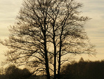 Fotoblog xxdreamlovexx