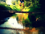 Fotoblog dosia1414wp