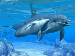 Fotoblog activesquad121