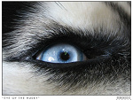 Fotoblog addy121